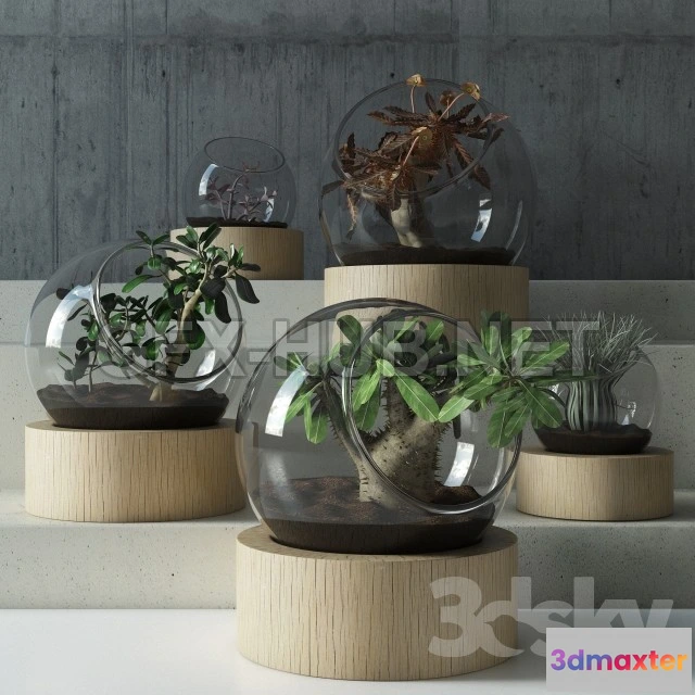 1089022 - Plant in glass - 222579