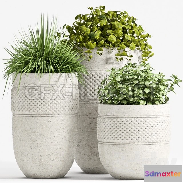 1089026 - PLANT SET - 67 - 222583