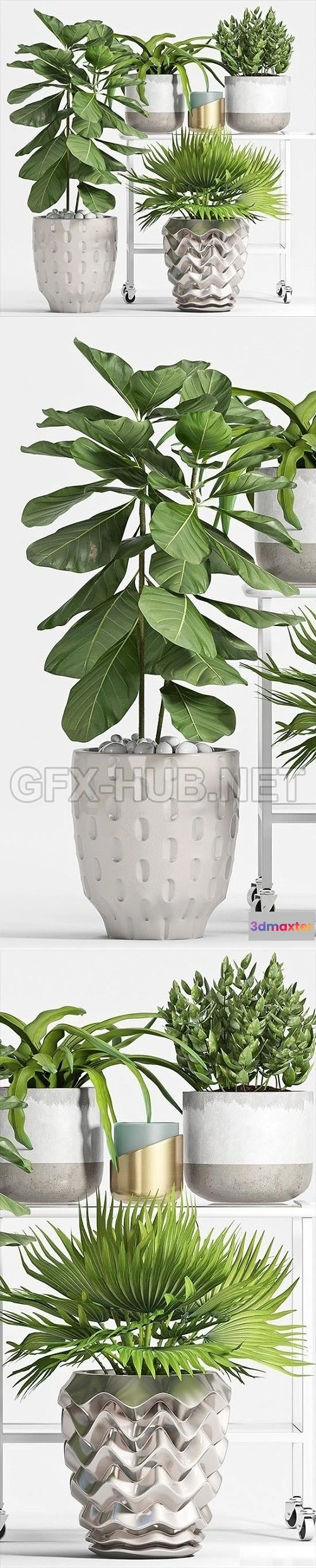 1089028 - Plant set 53 3d Models - 222585