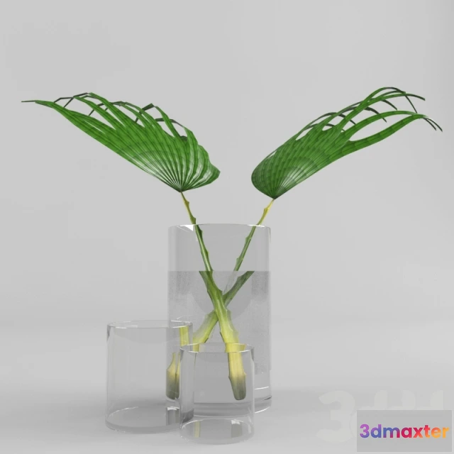 1089036 - PLant-02 - 222593