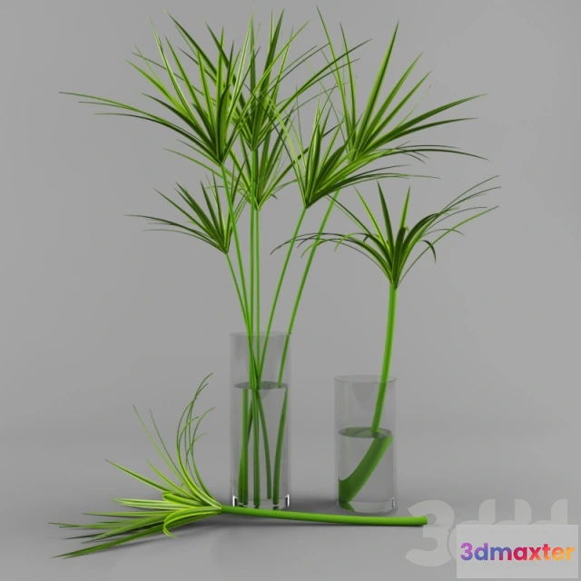 1089038 - Plant-03 - 222595