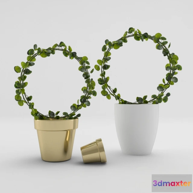 1089040 - Plantagens - 222597