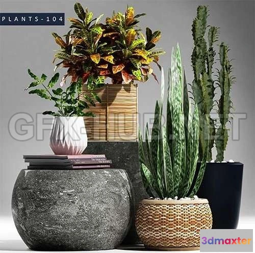 1089046 - Plants 104 - 222603