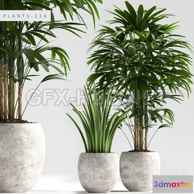 1089048 - PLANTS 114 - 222605