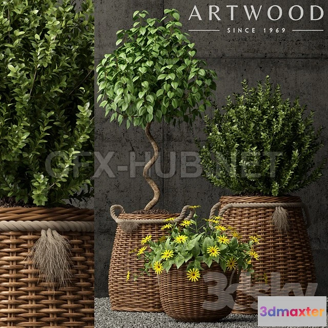 1089072 - Plants collection 65 - 222629