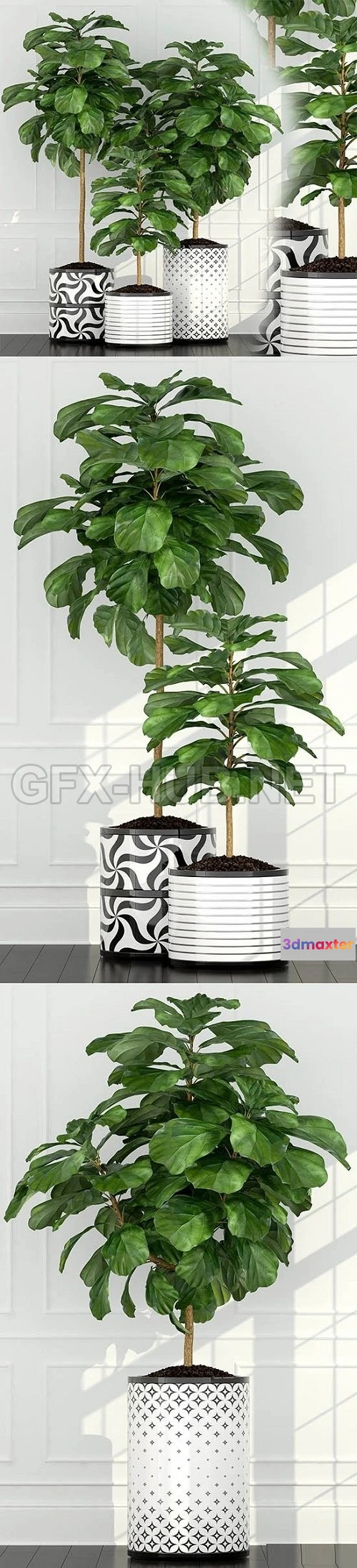 1089078 - Plants Collection 89 - 222635