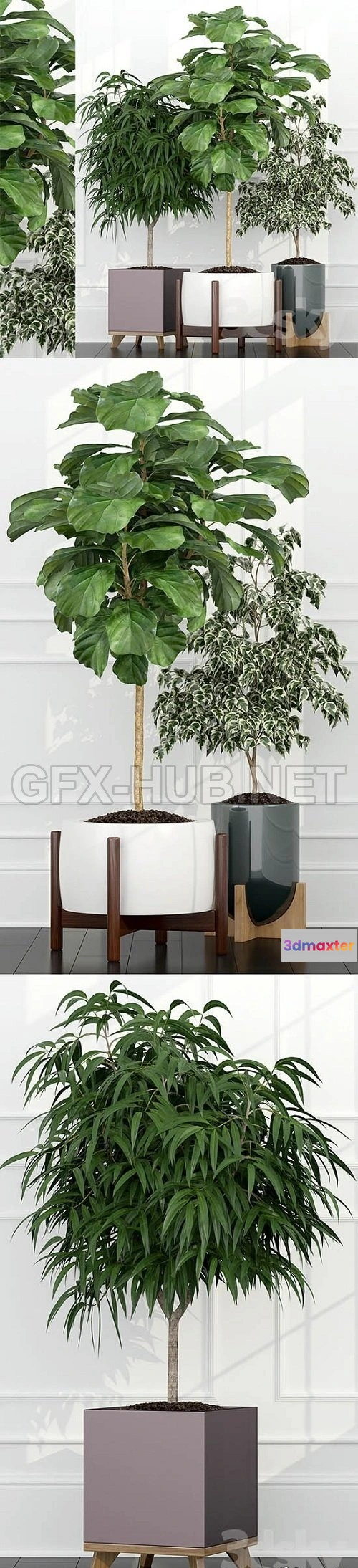 1089086 - Plants Collection 97 - 222643