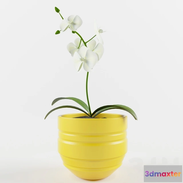 1089094 - Plants_2 - 222651