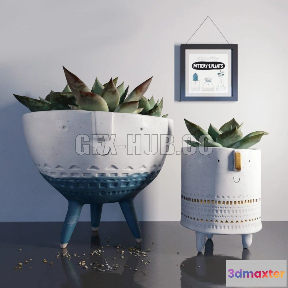 1089512 - Pottern and plants 1 - 223069