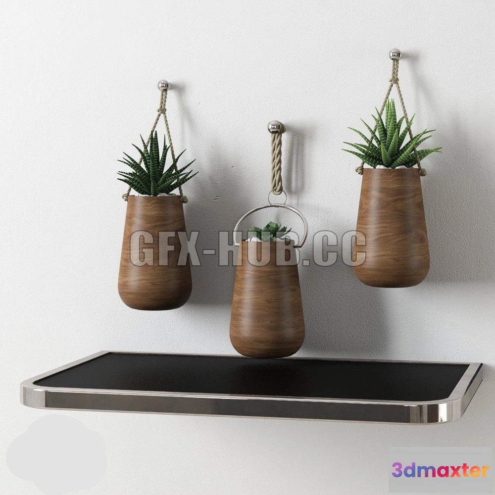 1090026 - Redhome plants - 223583