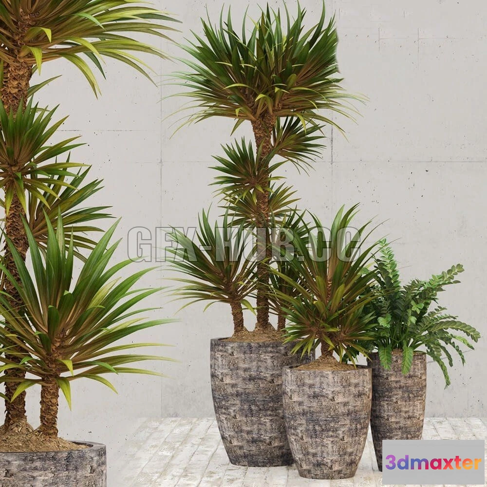 1090154 - Restoration Hardware corso planter - 223711