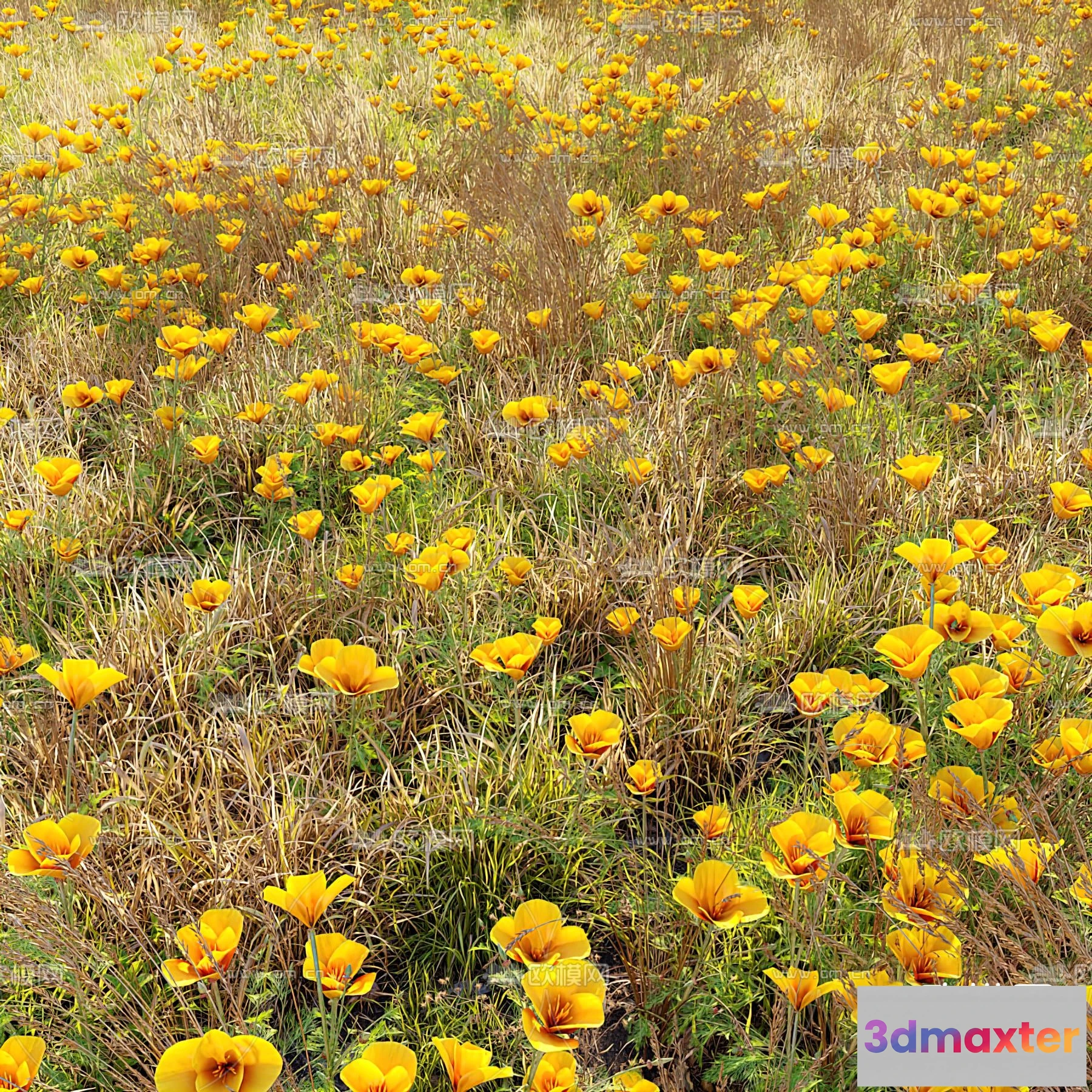 1108644 - Plants and Flower - 3D Modesl - 0001