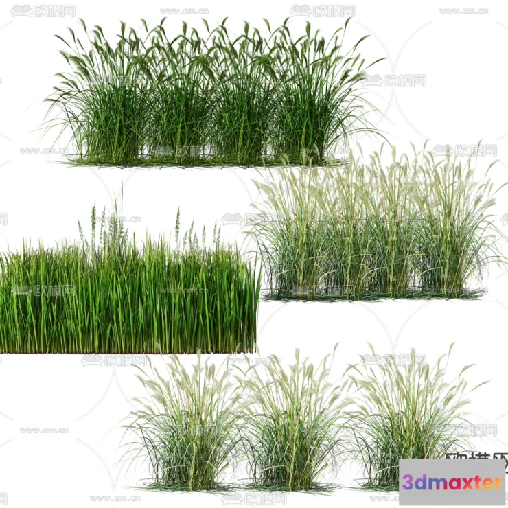 1108660 - Plants and Flower - 3D Modesl - 0009