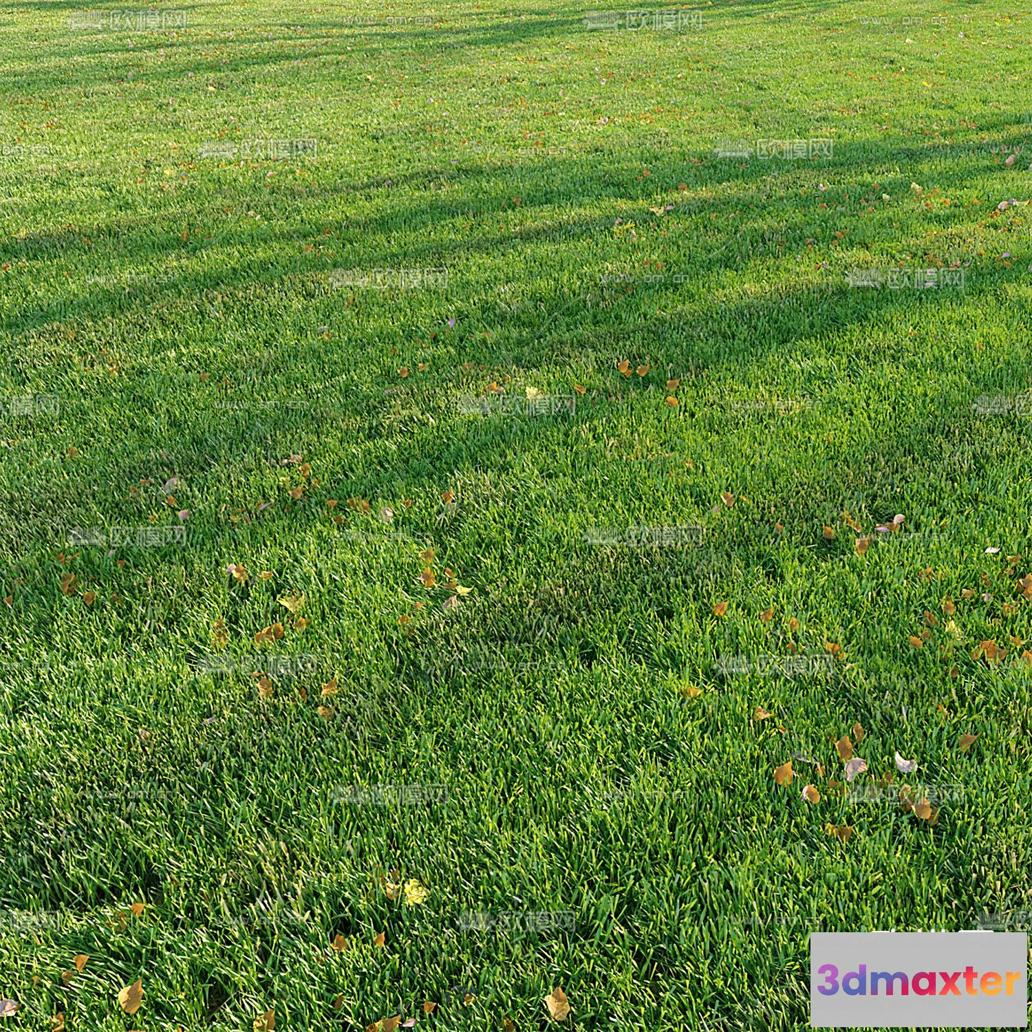 1108664 - Plants and Flower - 3D Modesl - 0011