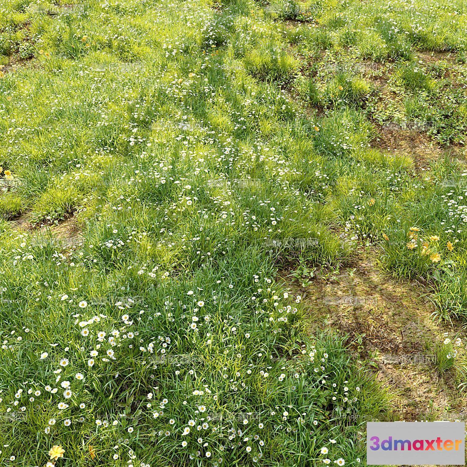 1108668 - Plants and Flower - 3D Modesl - 0013