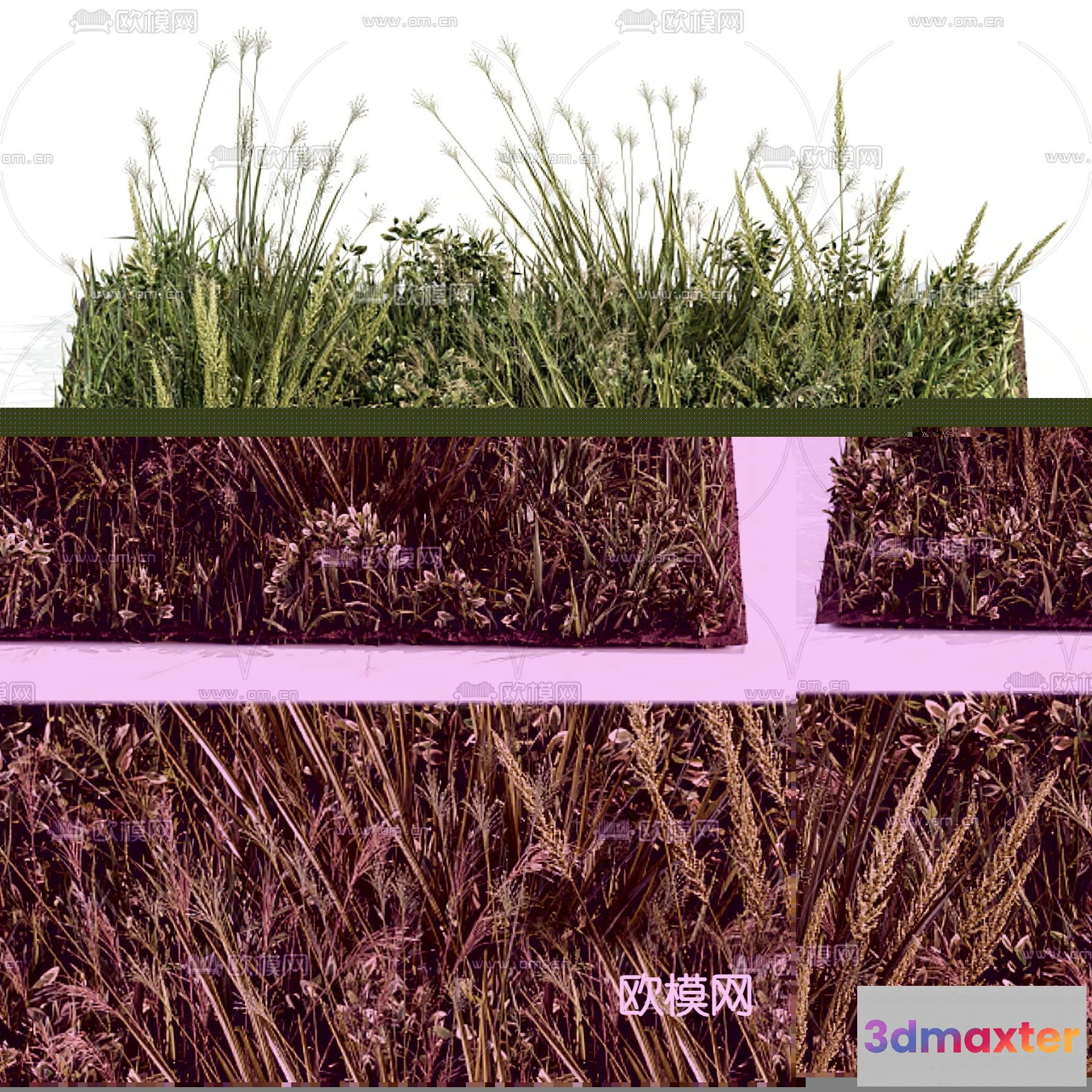 1108670 - Plants and Flower - 3D Modesl - 0014