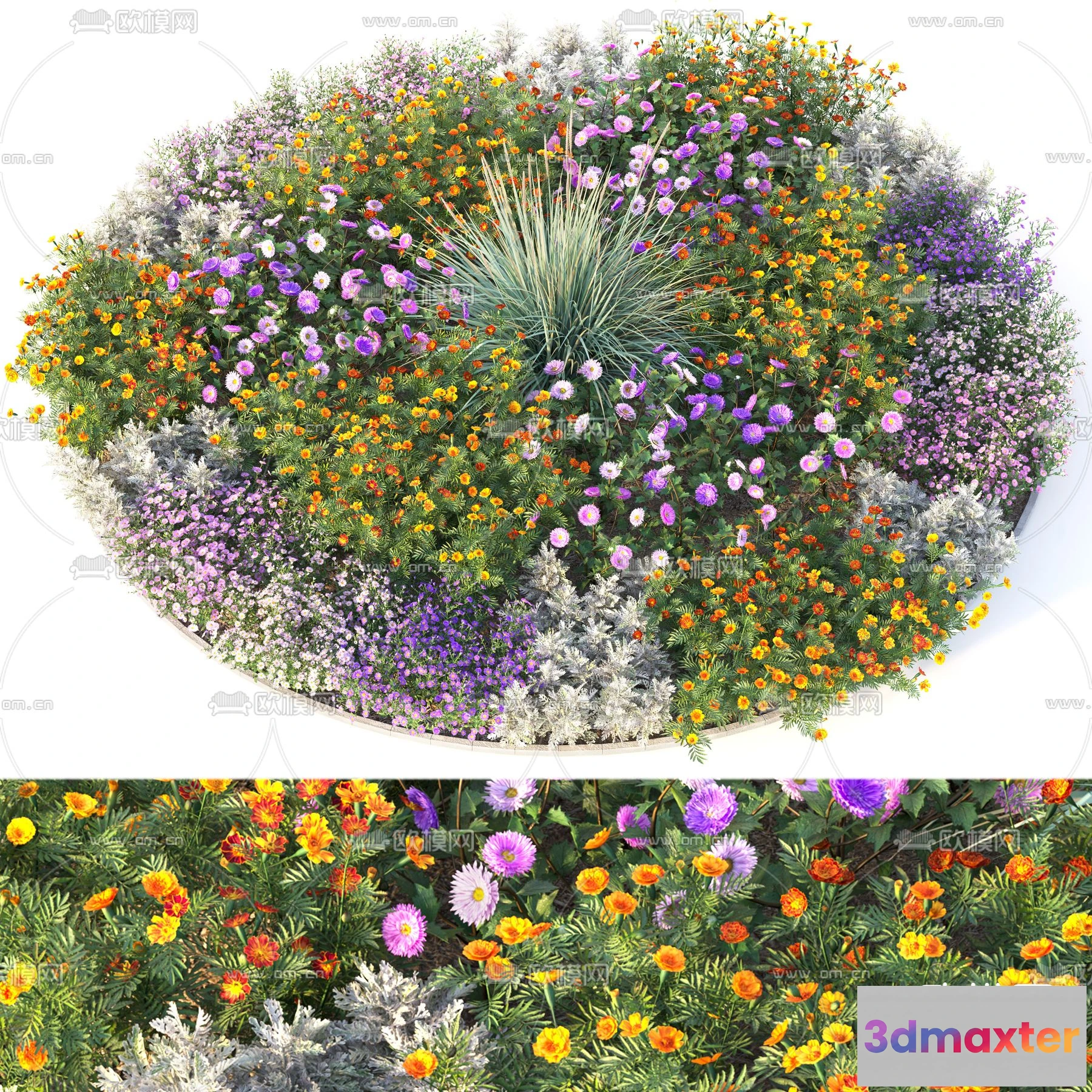 1108692 - Plants and Flower - 3D Modesl - 0025