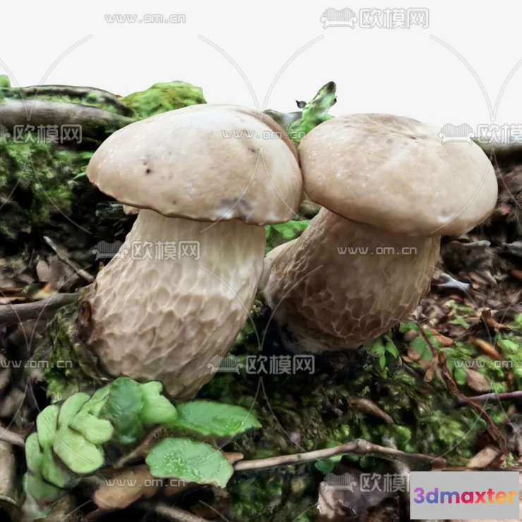 1108694 - Plants and Flower - 3D Modesl - 0026