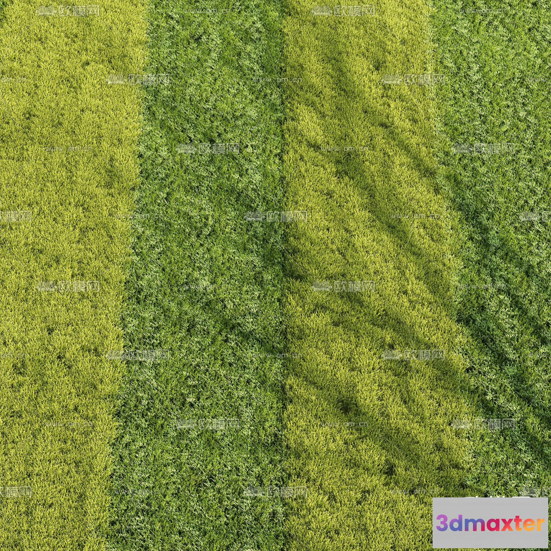 1108696 - Plants and Flower - 3D Modesl - 0027