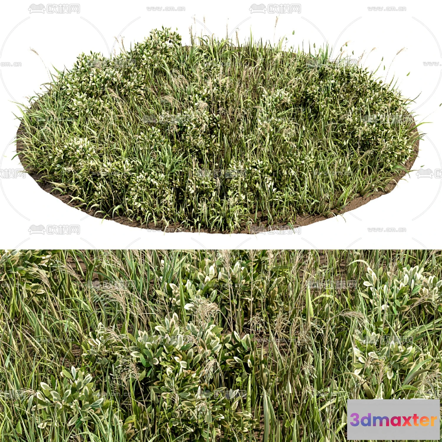 1108706 - Plants and Flower - 3D Modesl - 0032