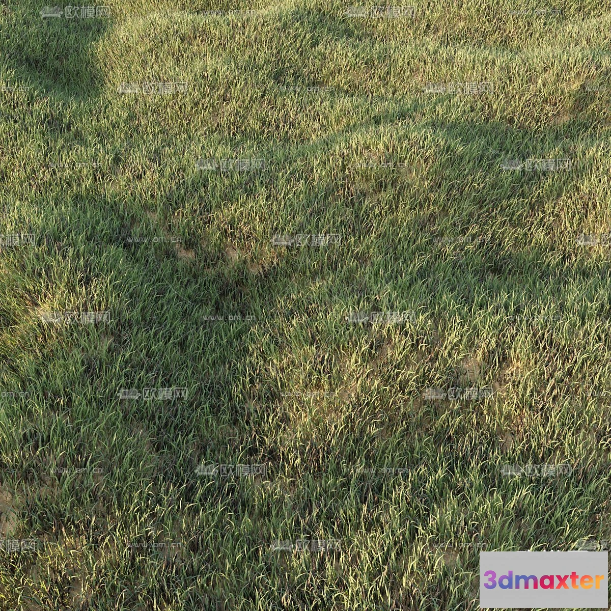 1108712 - Plants and Flower - 3D Modesl - 0035