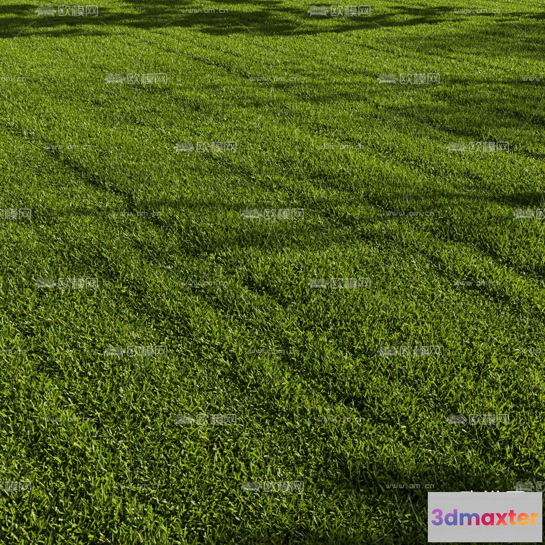 1108714 - Plants and Flower - 3D Modesl - 0036