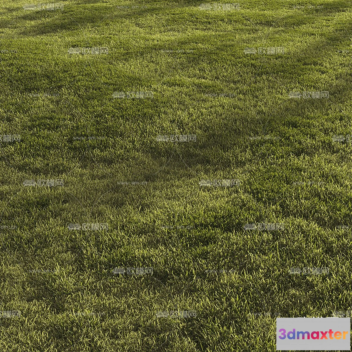 1108716 - Plants and Flower - 3D Modesl - 0037