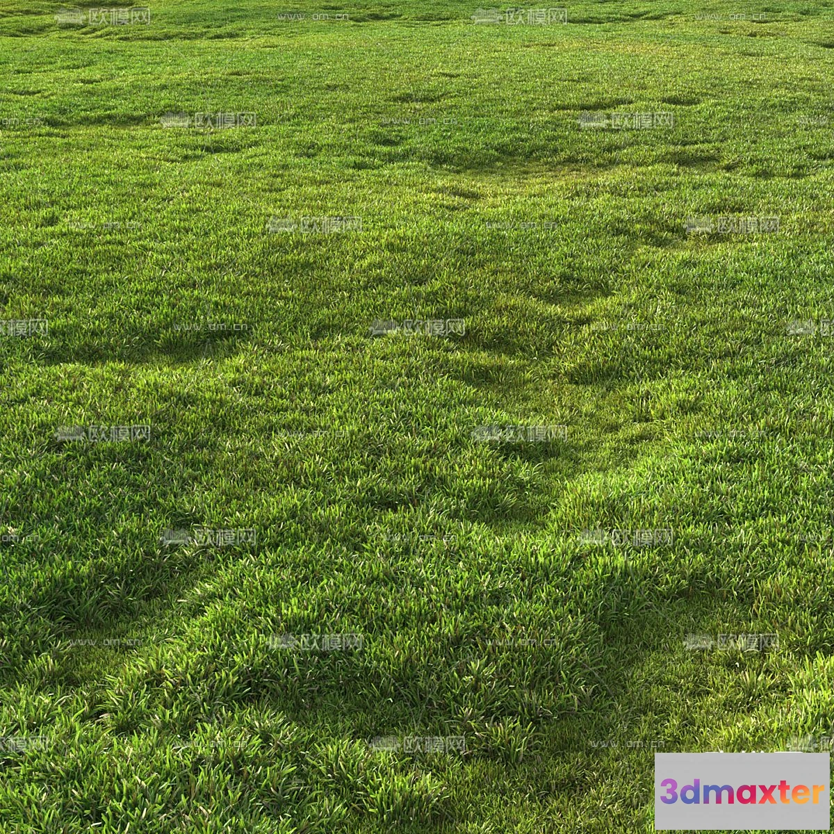 1108718 - Plants and Flower - 3D Modesl - 0038