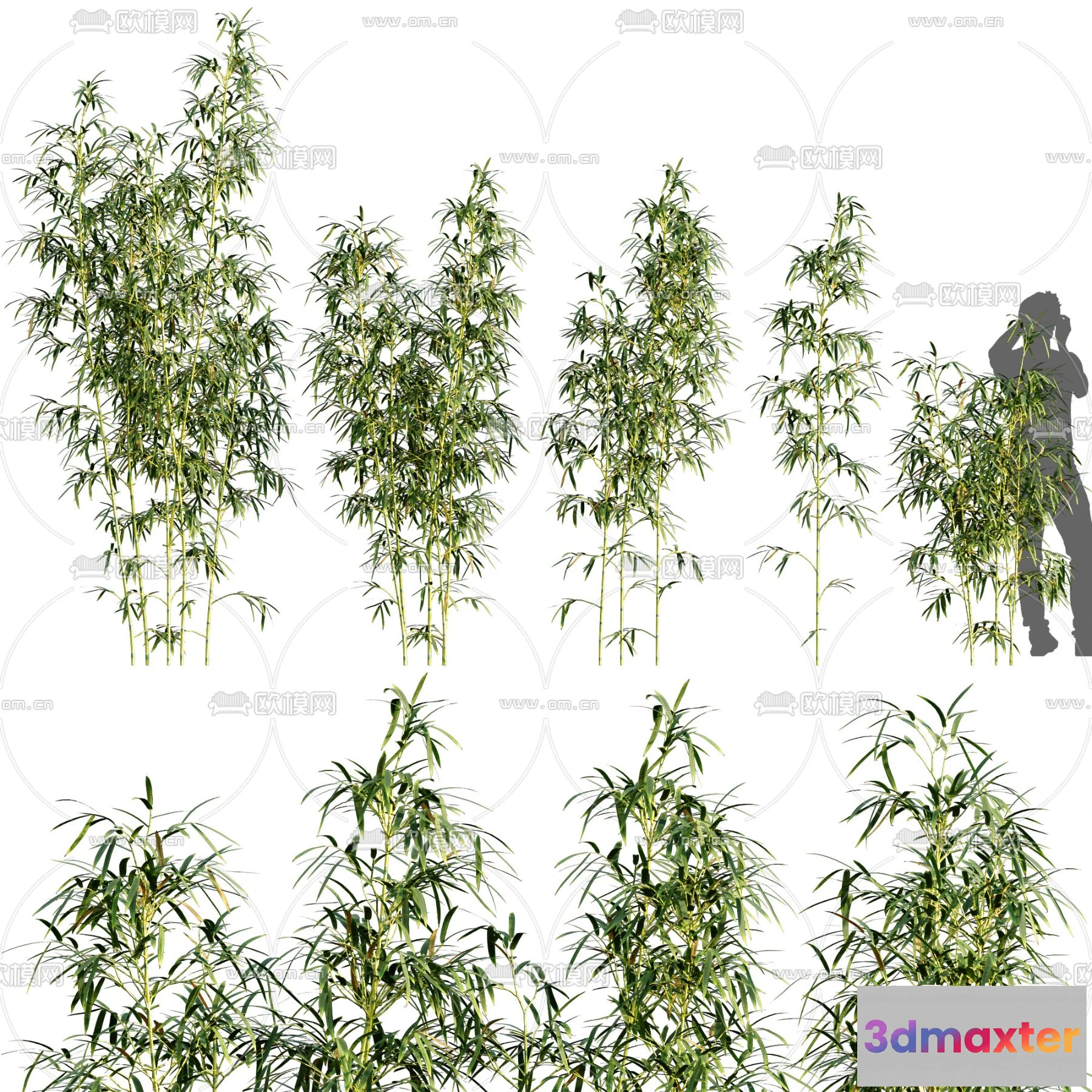 1108730 - Plants and Flower - 3D Modesl - 0044