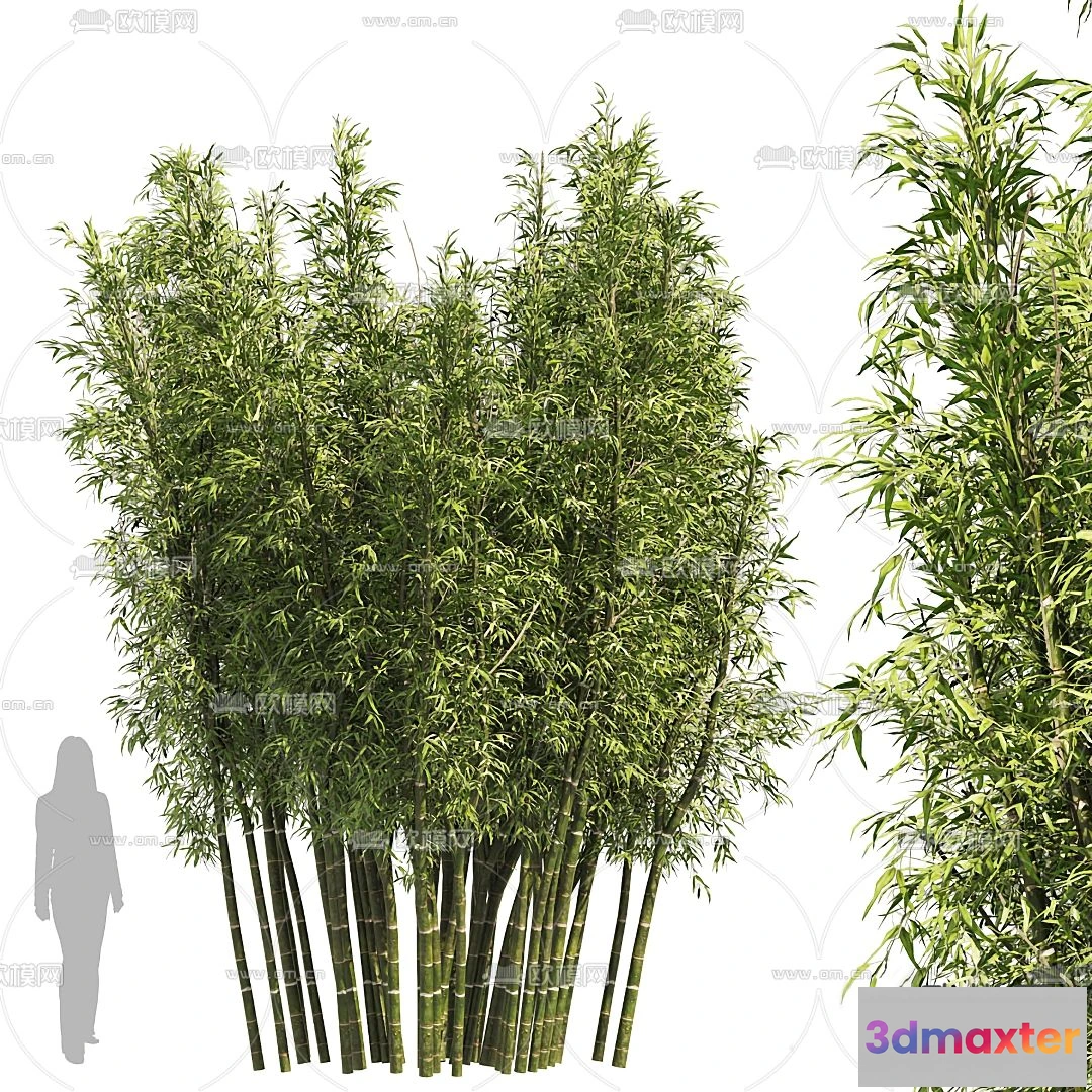 1108746 - Plants and Flower - 3D Modesl - 0052