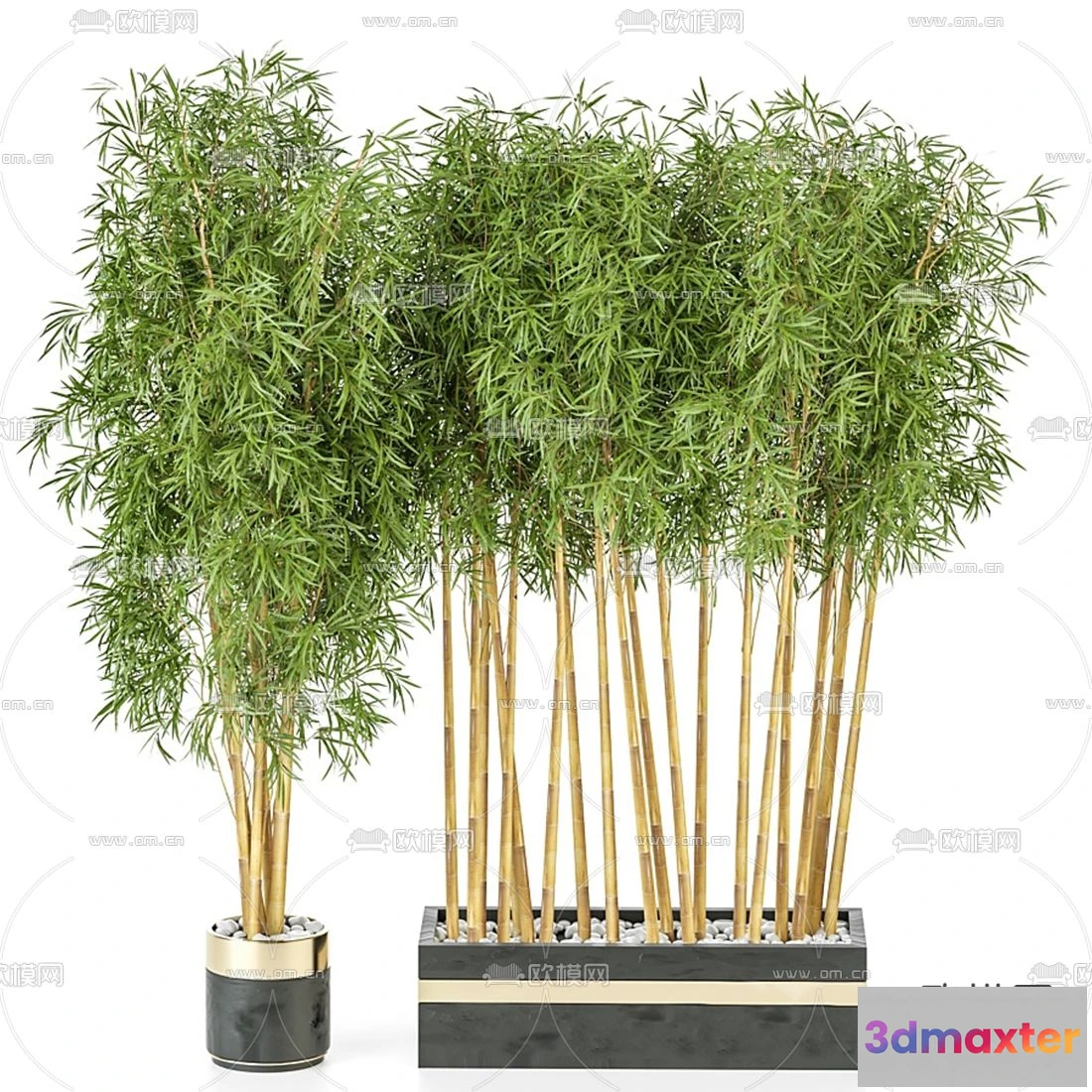 1108748 - Plants and Flower - 3D Modesl - 0053