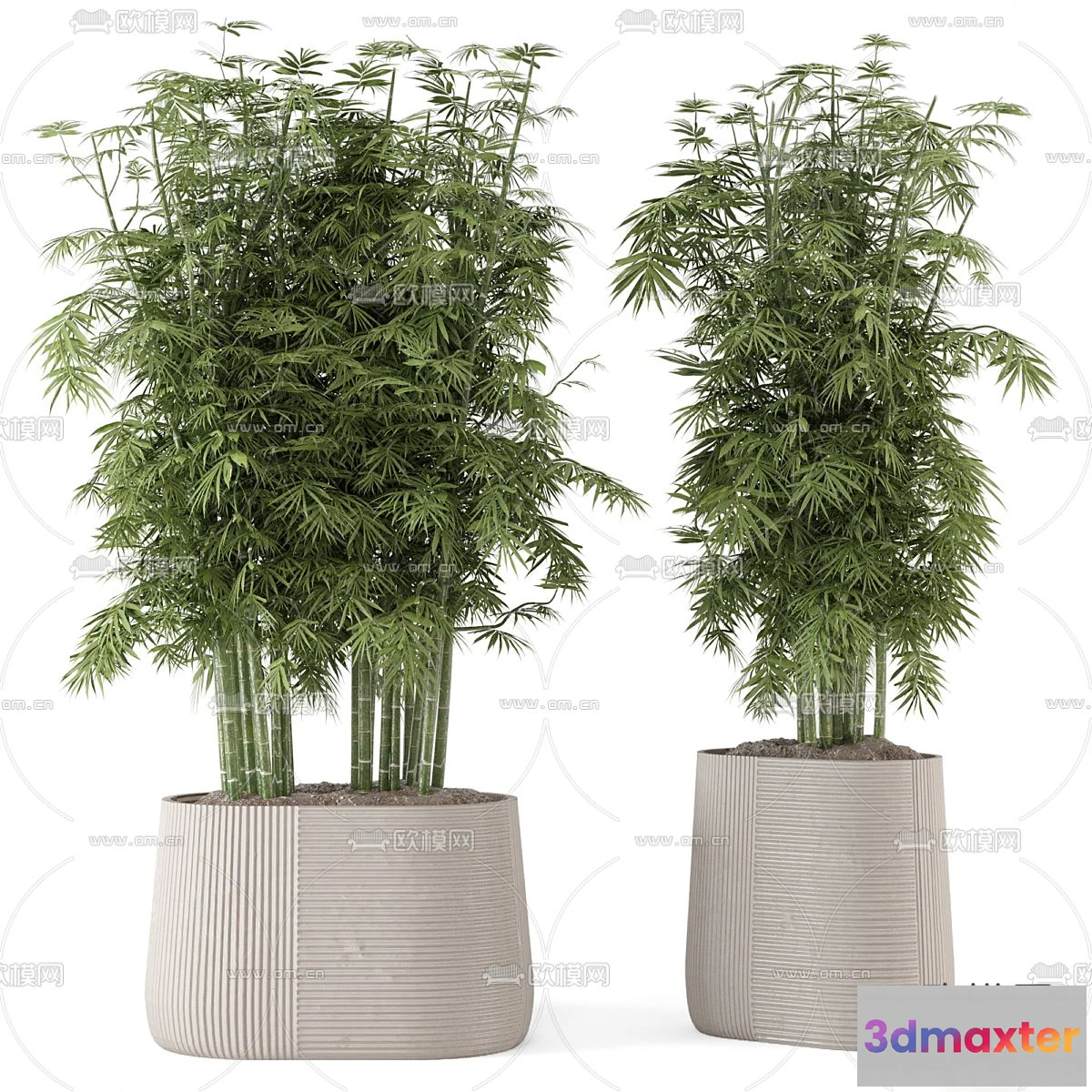 1108758 - Plants and Flower - 3D Modesl - 0058