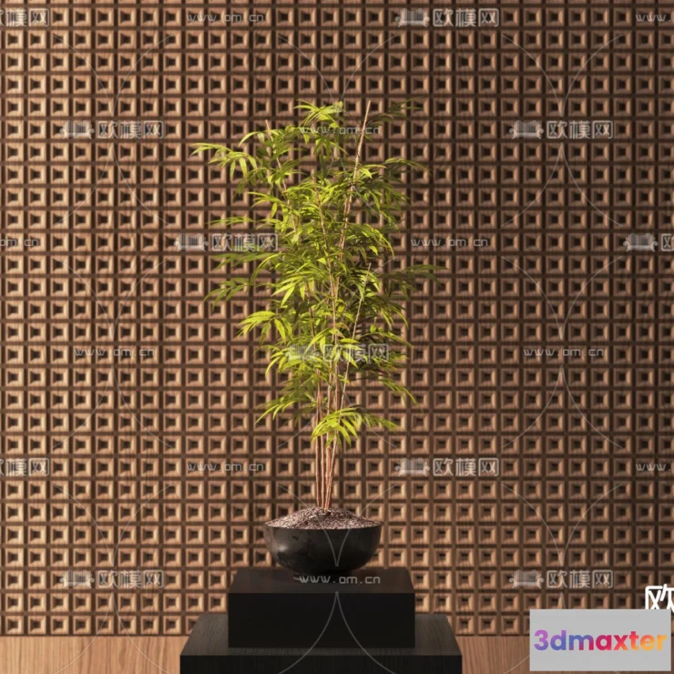 1108760 - Plants and Flower - 3D Modesl - 0059