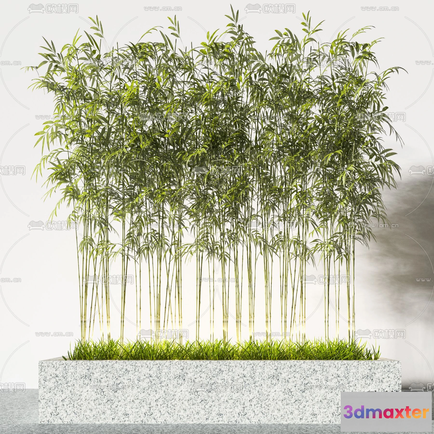 1108776 - Plants and Flower - 3D Modesl - 0067