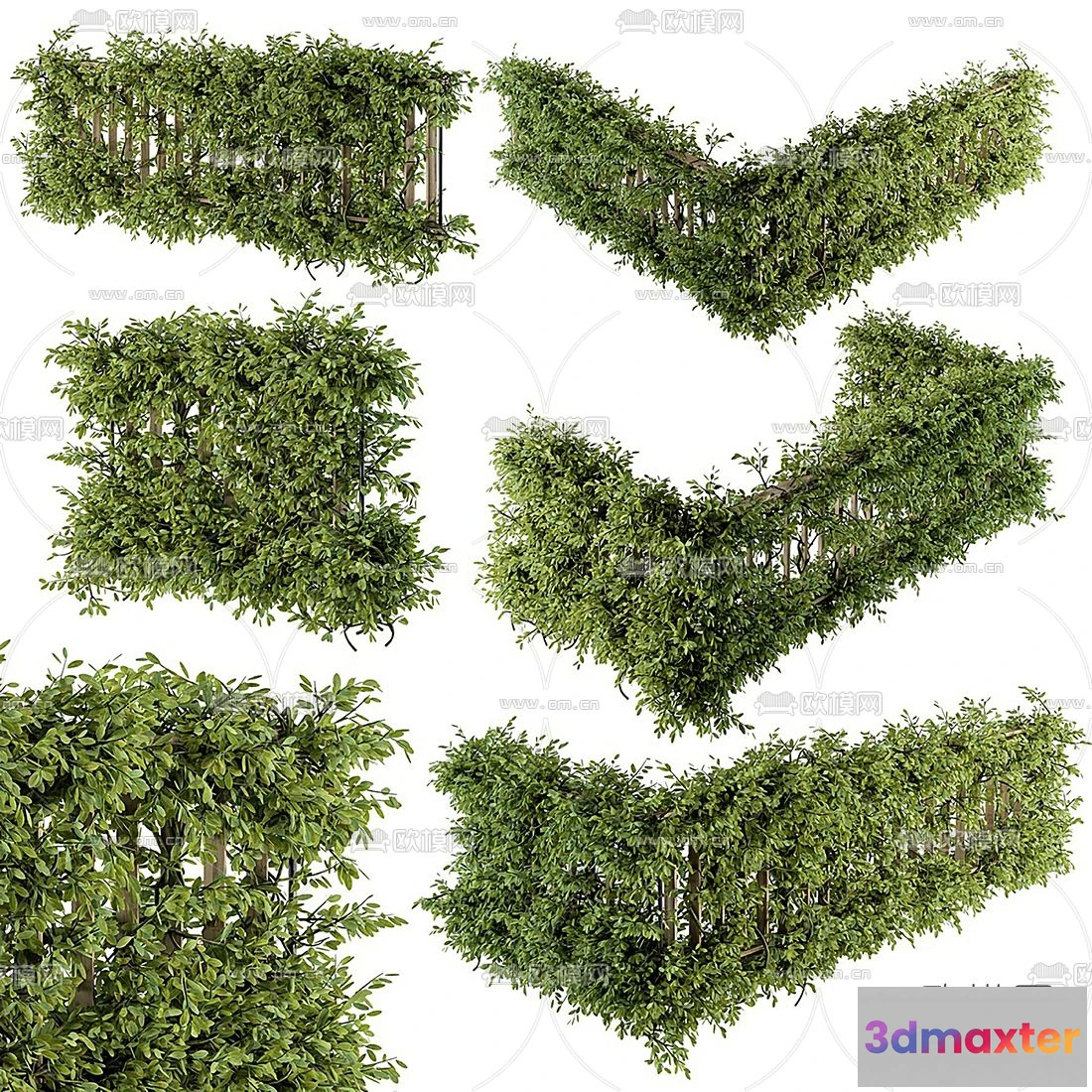 1108804 - Plants and Flower - 3D Modesl - 0081