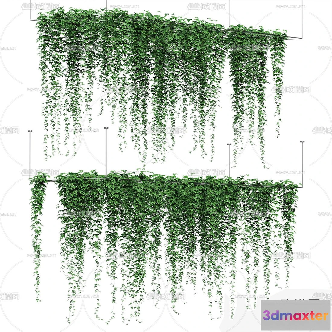 1108826 - Plants and Flower - 3D Modesl - 0092