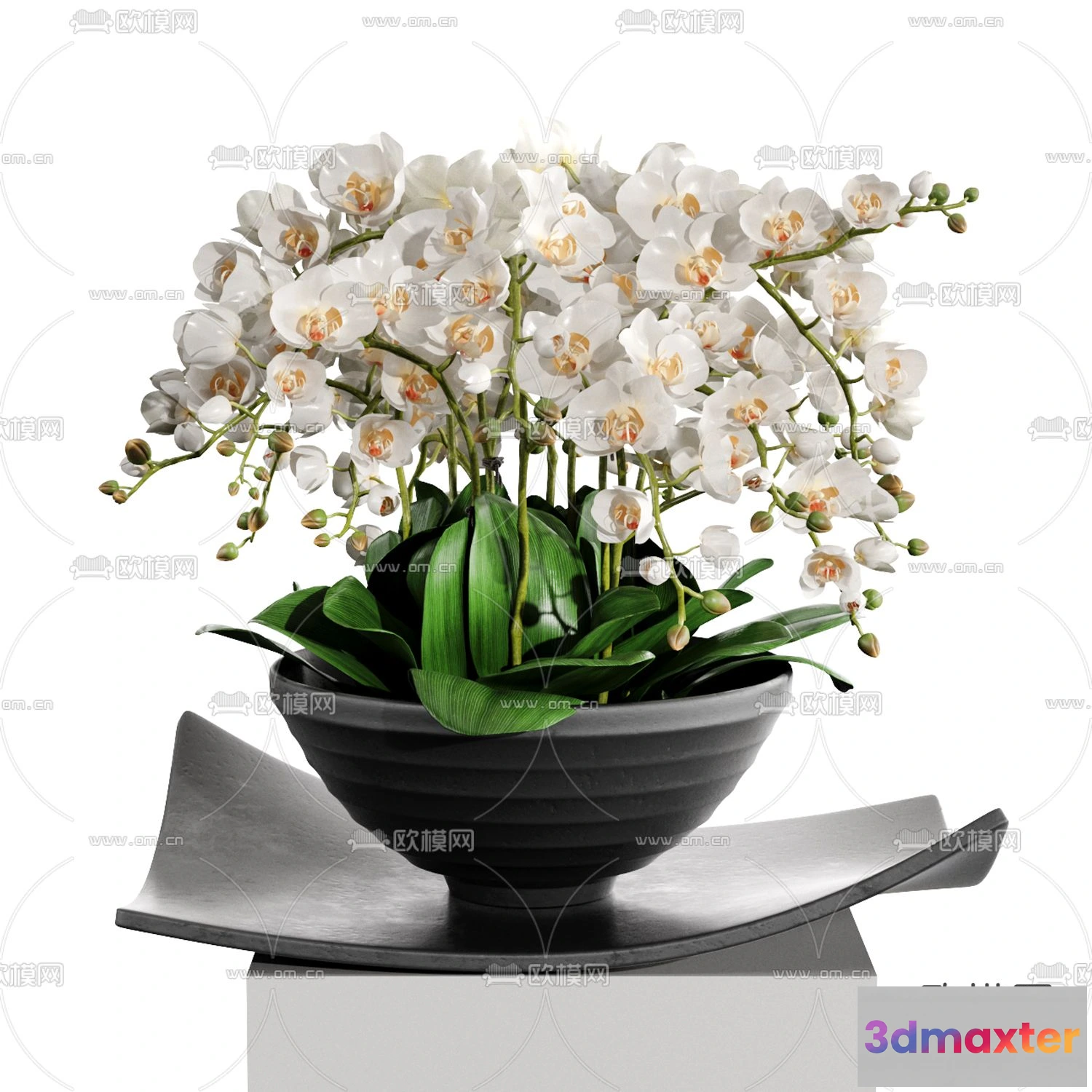 1108828 - Plants and Flower - 3D Modesl - 0093