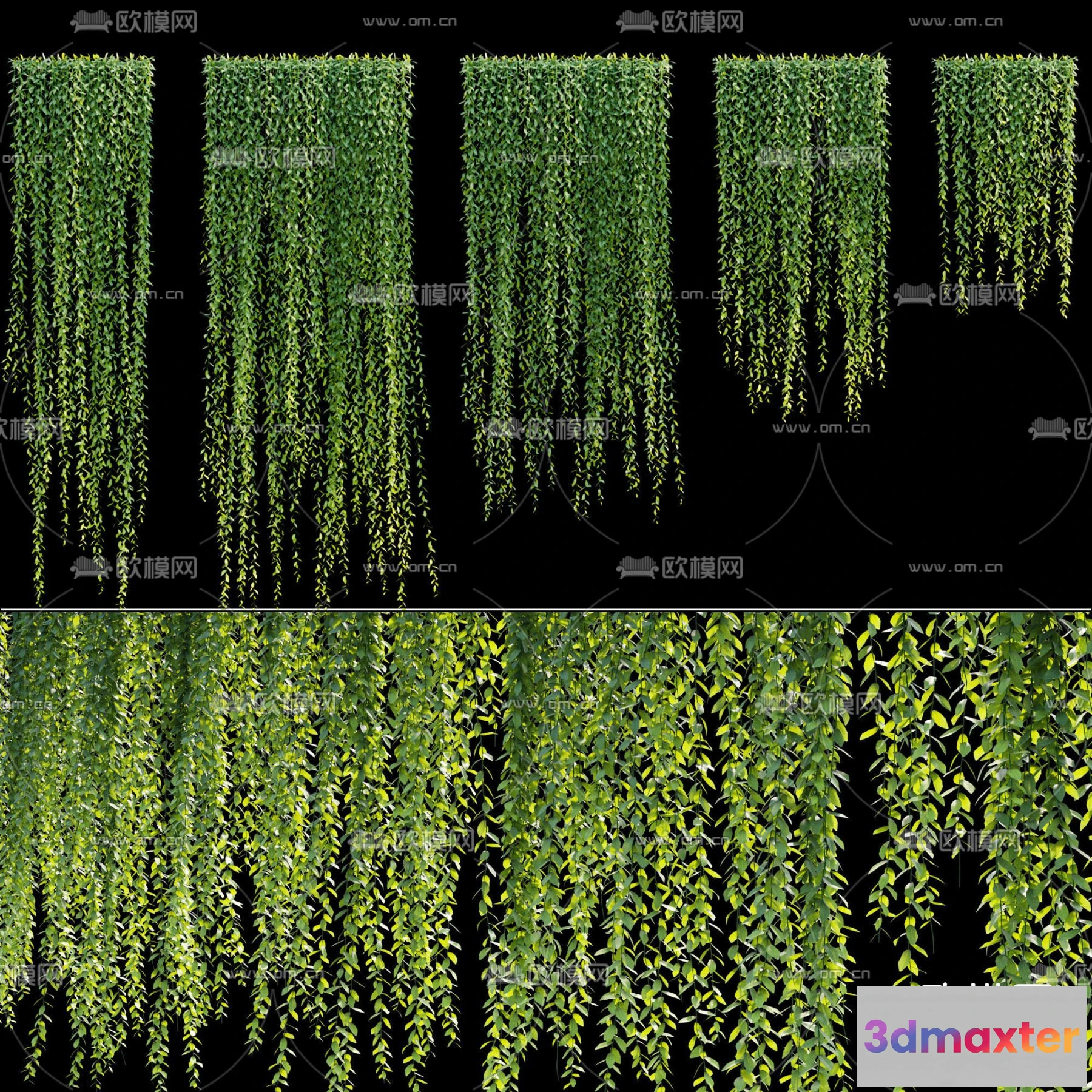 1108840 - Plants and Flower - 3D Modesl - 0099