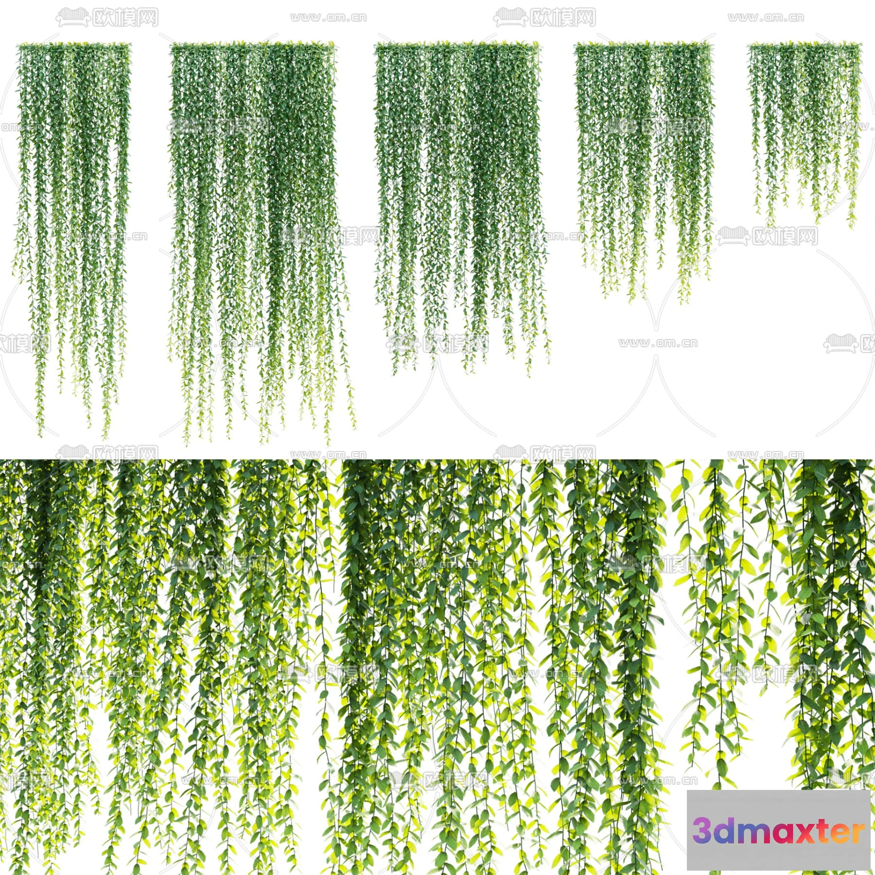 1108842 - Plants and Flower - 3D Modesl - 0100