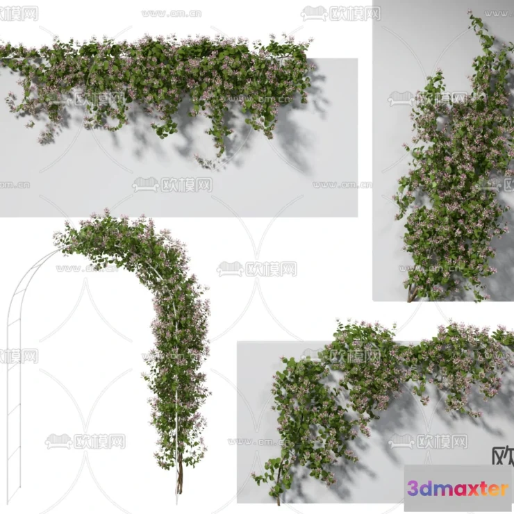 1108866 - Plants and Flower - 3D Modesl - 0112