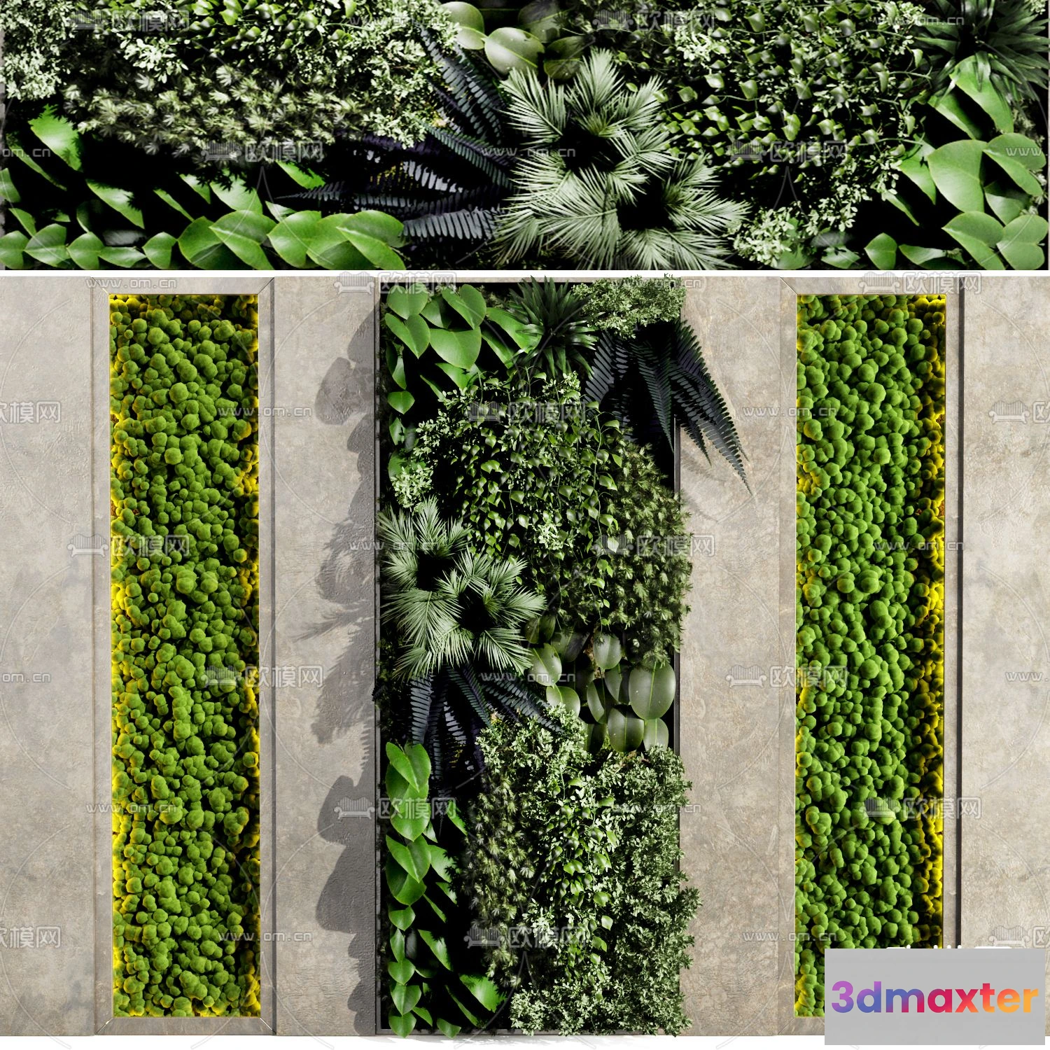 1108890 - Plants and Flower - 3D Modesl - 0124