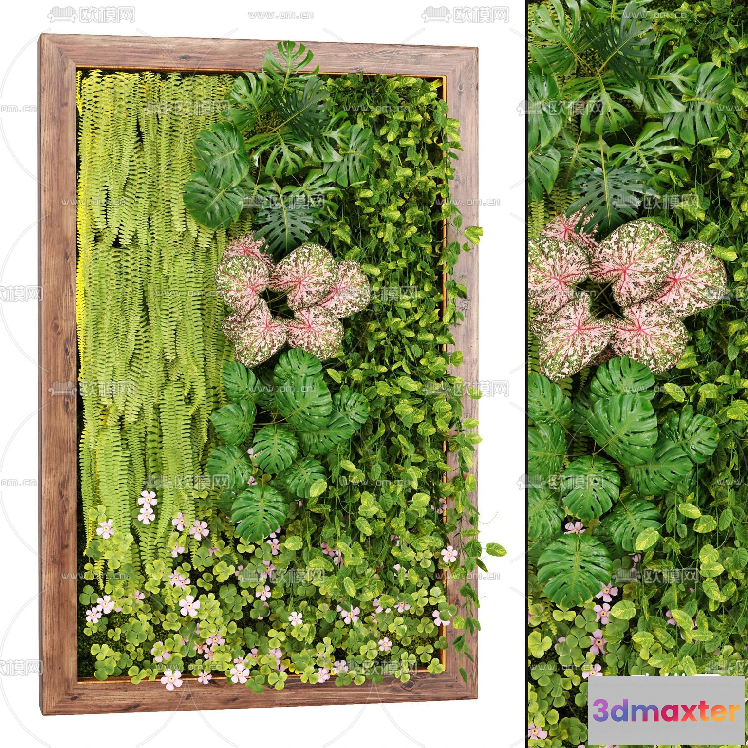 1108892 - Plants and Flower - 3D Modesl - 0125