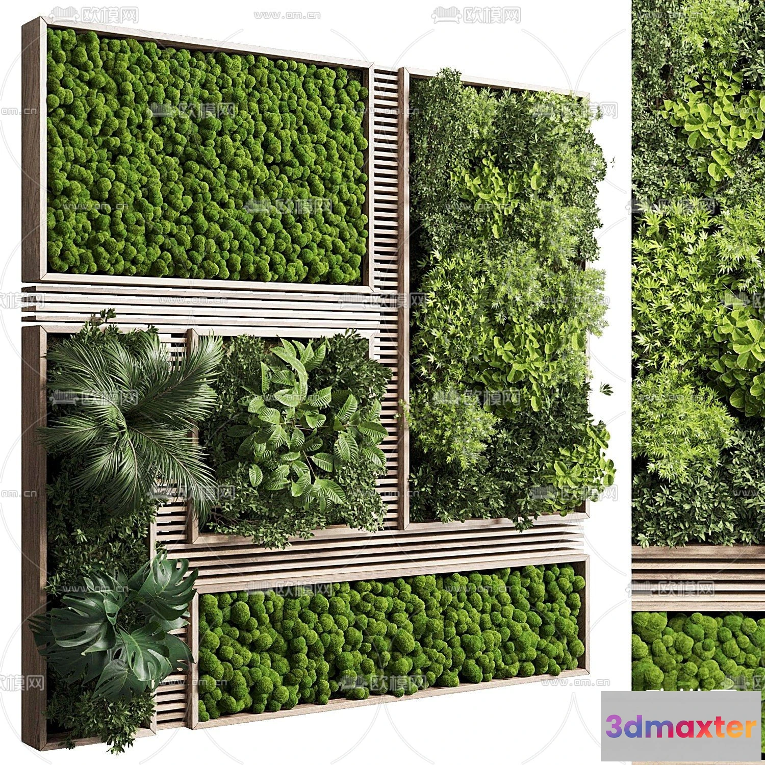 1108898 - Plants and Flower - 3D Modesl - 0128