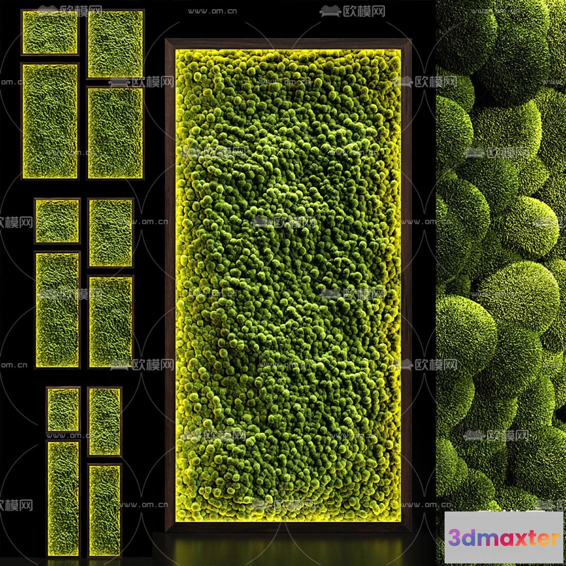 1108900 - Plants and Flower - 3D Modesl - 0129