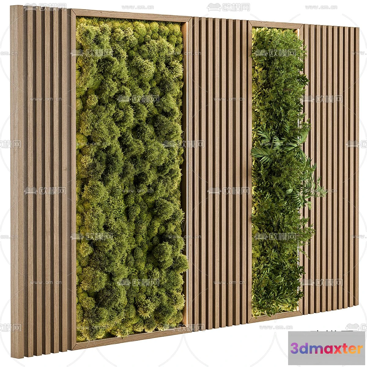 1108912 - Plants and Flower - 3D Modesl - 0135