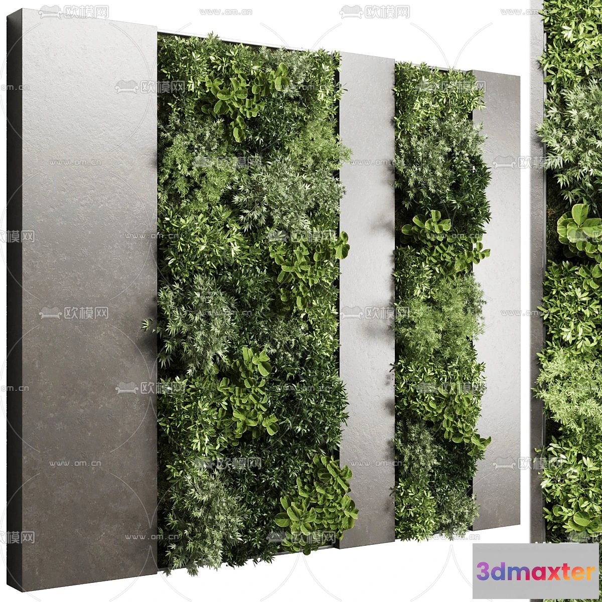 1108924 - Plants and Flower - 3D Modesl - 0141