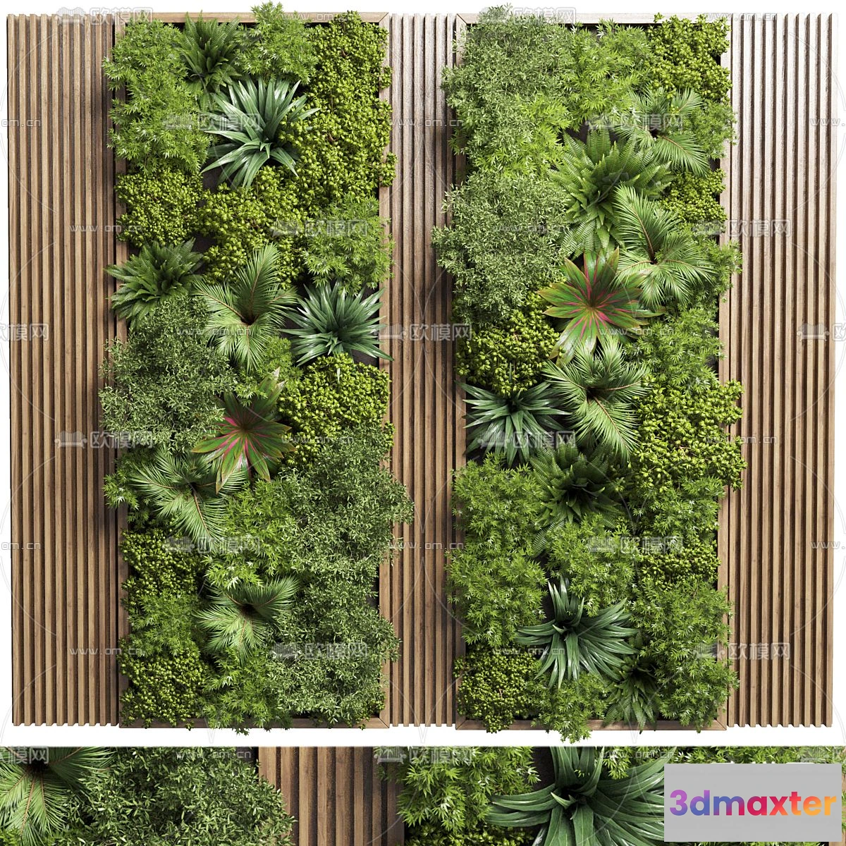 1108926 - Plants and Flower - 3D Modesl - 0142