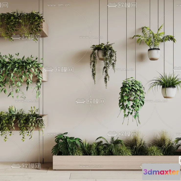 1108940 - Plants and Flower - 3D Modesl - 0149