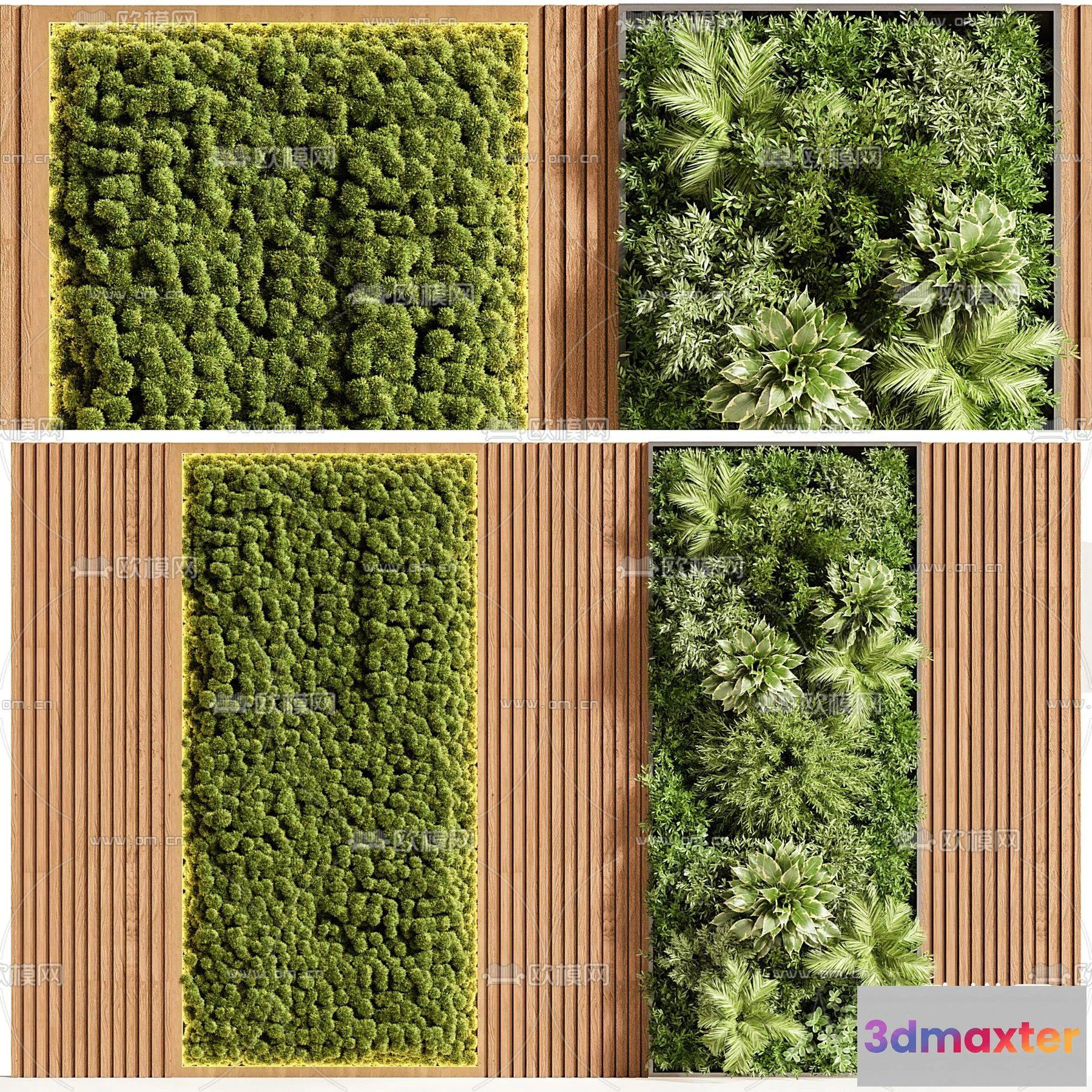 1108946 - Plants and Flower - 3D Modesl - 0152