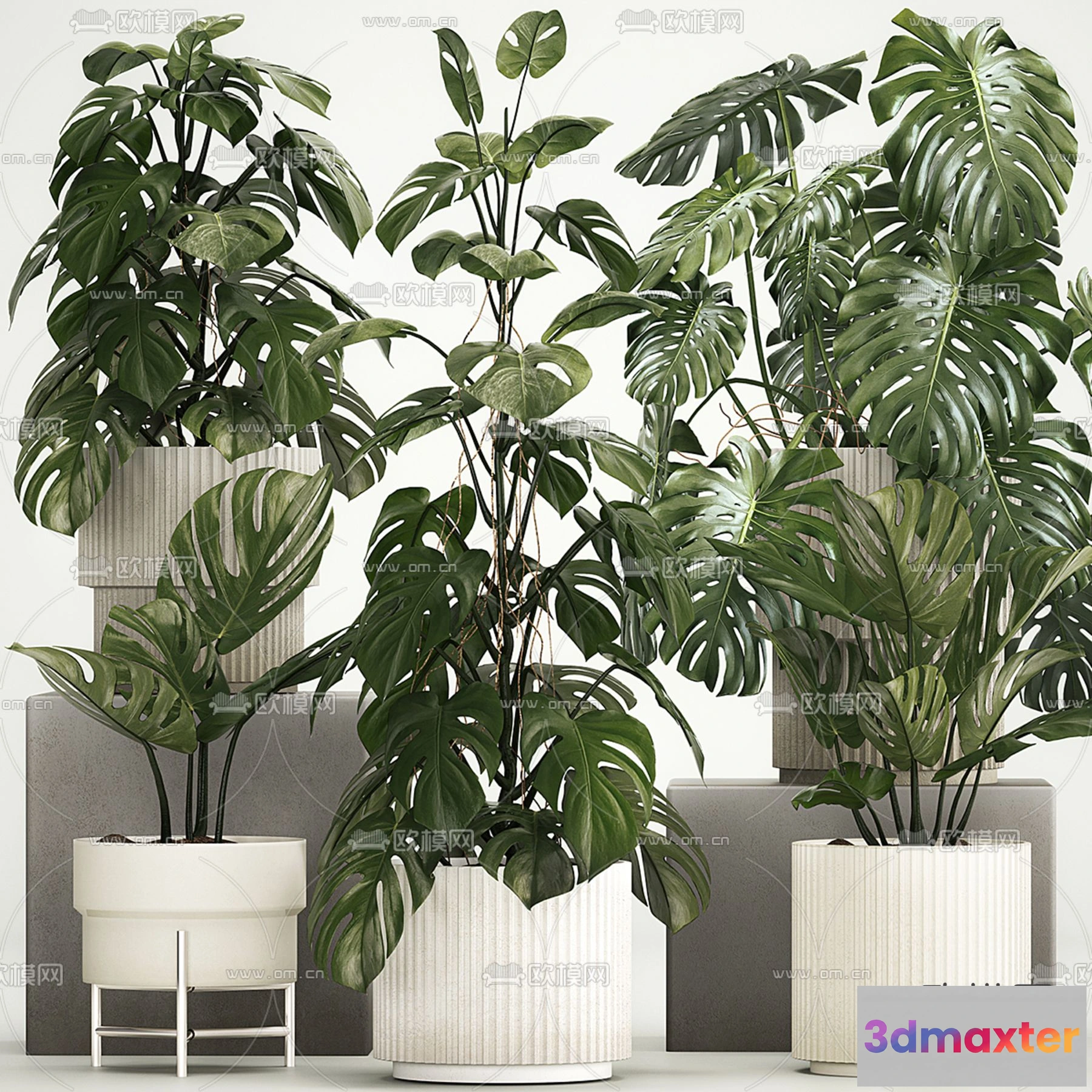 1108996 - Plants and Flower - 3D Modesl - 0177